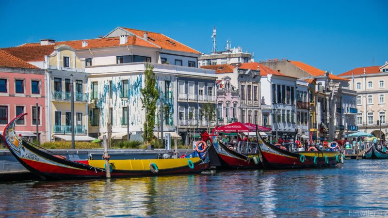 justpotatoes@yahoo.com