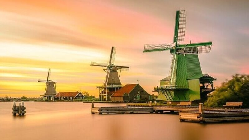 Campo y molinos - Tour desde Ámsterdam