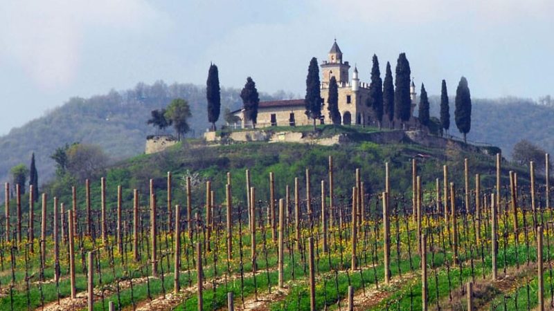 Davide Mombelli   +39 339 8306197