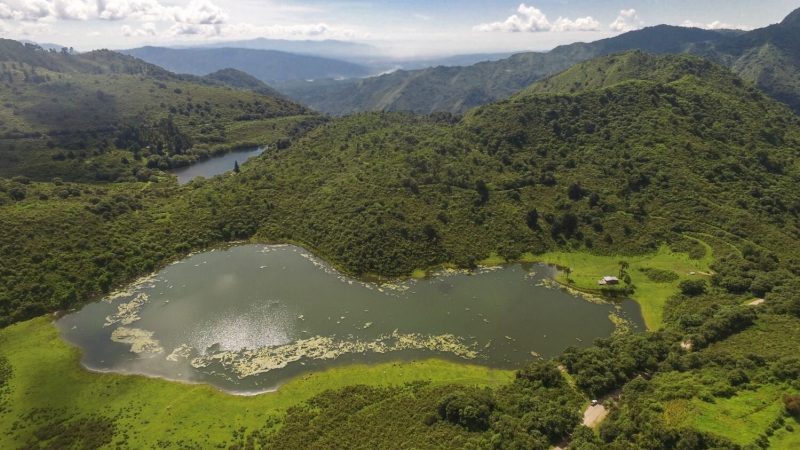 Laguna comedero yala