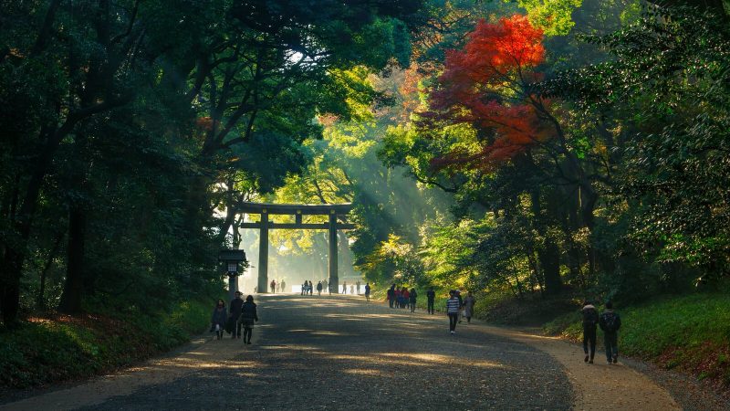 Santuario Meiji tokyo