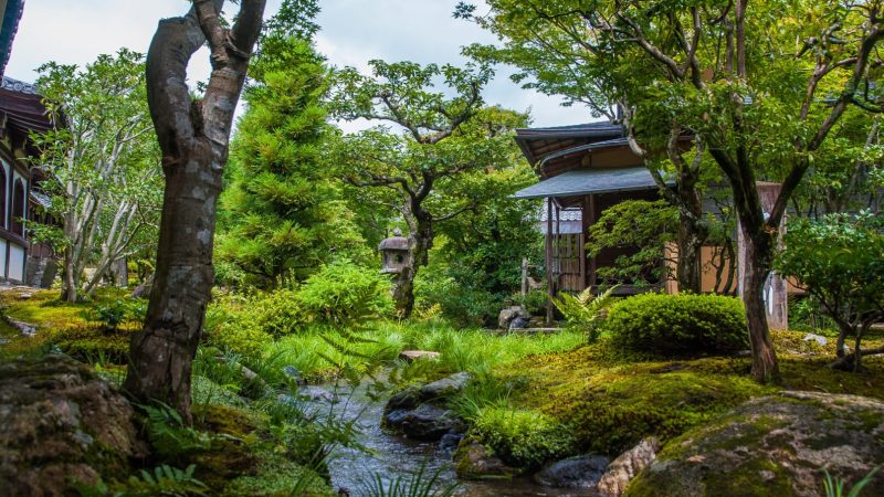 Templo Tenryuji Kyoto (2)
