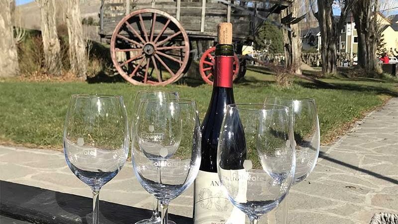 Wine Tour Gigantes Patagones El Calafate 2