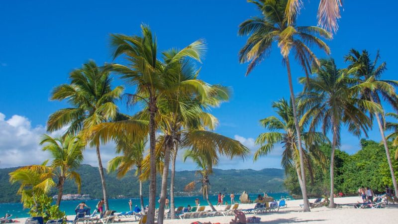 cayo levantado dominicana (5)