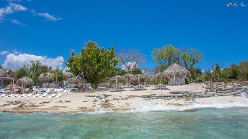 isla catalina 7