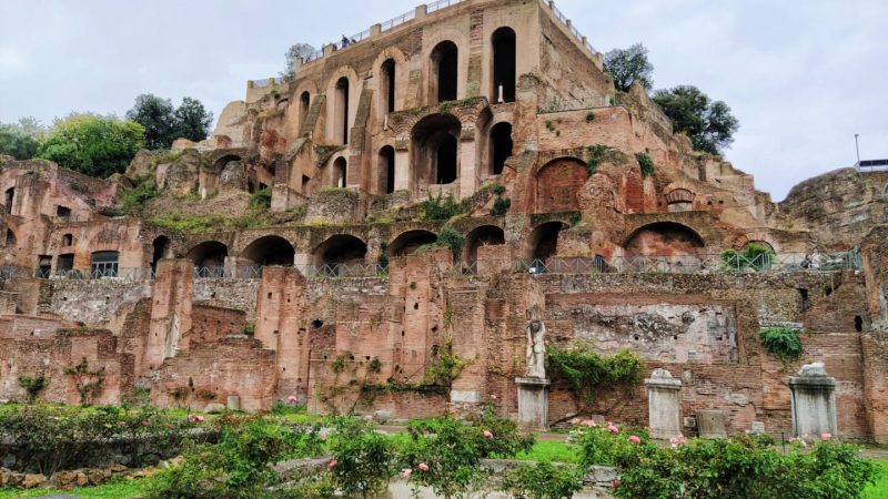 Processed with VSCO with  preset